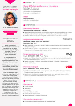 Graphic variations of resume template