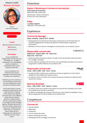 Graphic variations of resume template