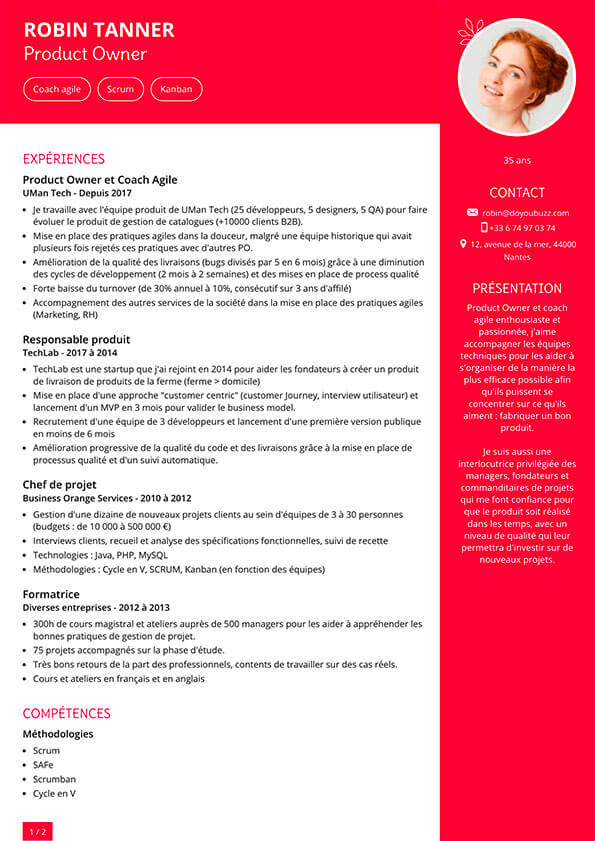 Example of a resume visible on the internet