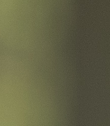 Melinda McClimans