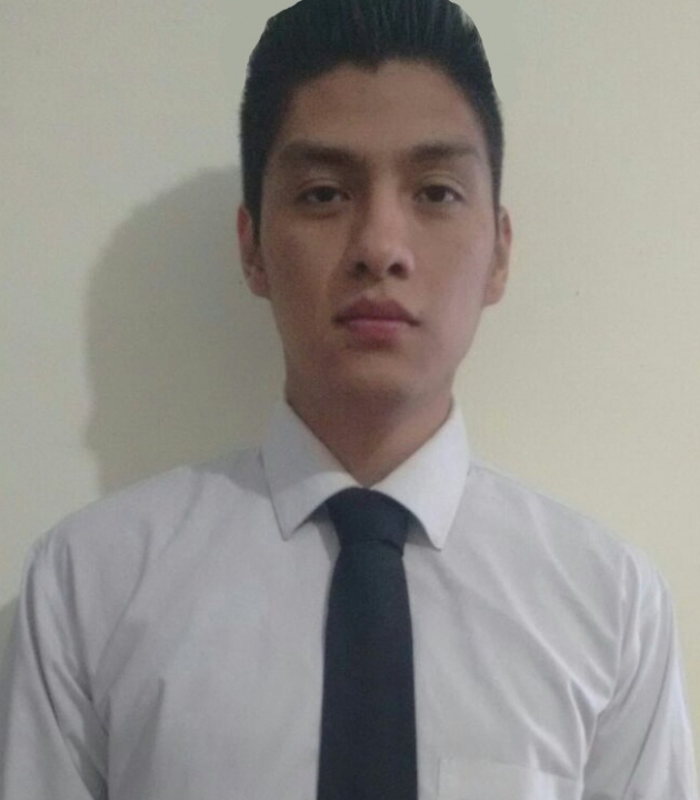 Einar Ulises Arenas Hernandez