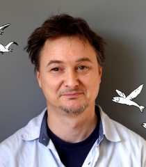Olivier Mayer