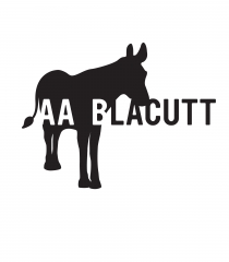 Andrée-Anne Blacutt-Grenier