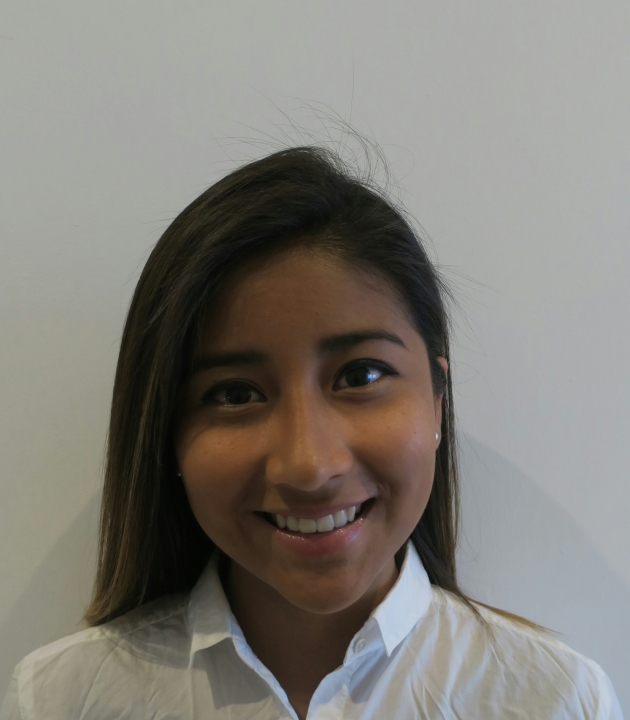 Ingrid Dinorah Diaz Gonzalez