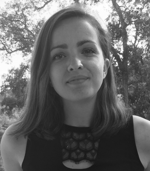 Andréa Meireles De Carvalho