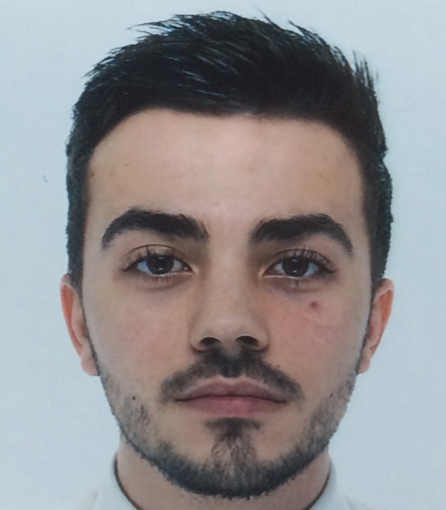 Alexandre Fortini