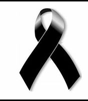 Diego Rodrigo Roman Espinoza