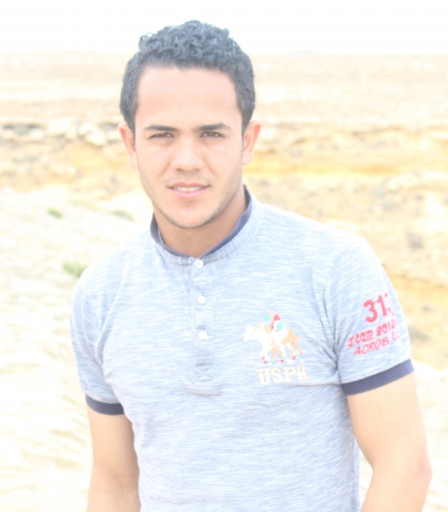 mahmoud allam mohammed amer