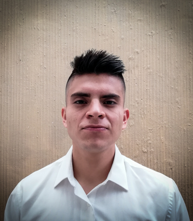 Luis Fernando Ramos Ochoa