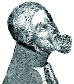 Don Juan Manuel