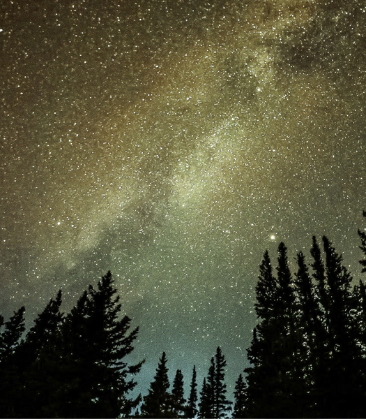 Jumelles Infrarouges