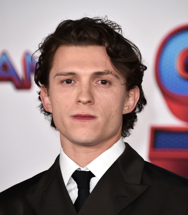 Tom Holland Spiderman