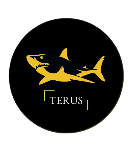 Terus Technology